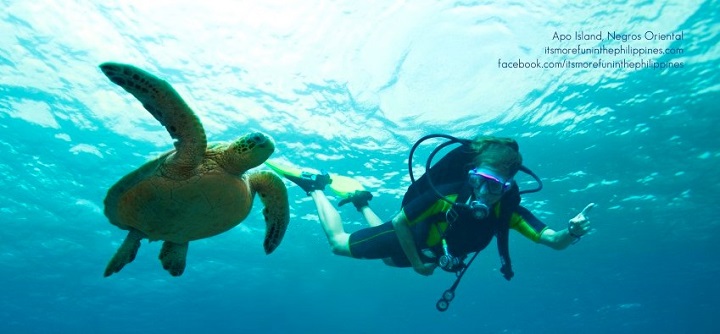 Negros Y Cebu